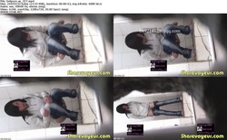 China voyeur Woman Toliet  325-400
