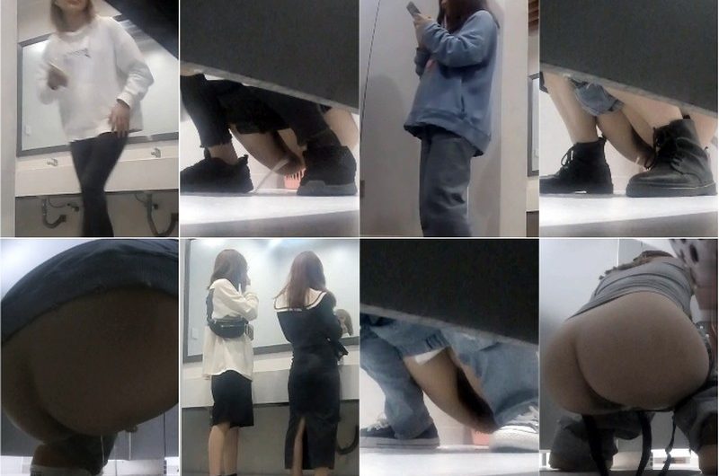 Chinese Public Toilet 6