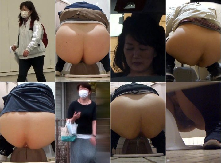 HD Japanese Toilet Style.239
