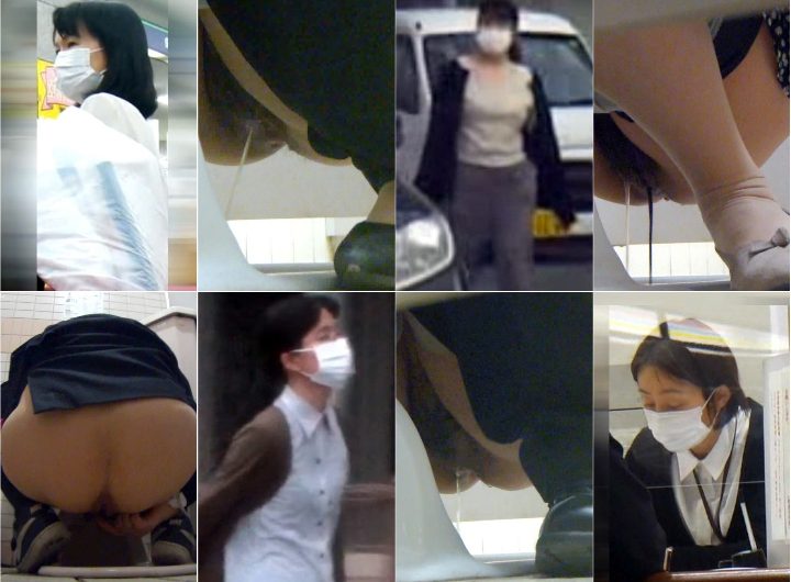 HD Japanese Toilet Style.241 OL