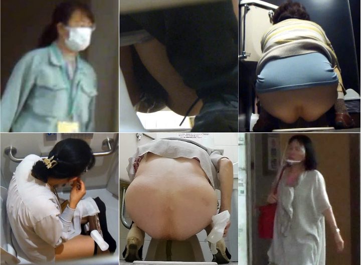 HD Japanese Toilet Style.245