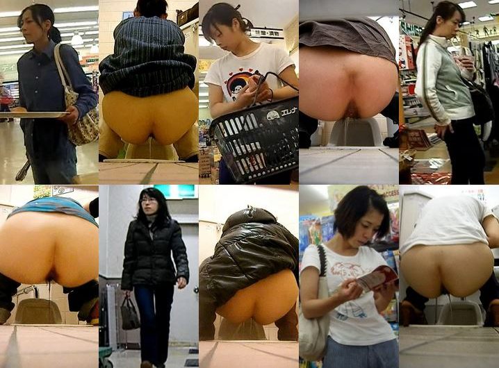 Japanese toilet style.No220