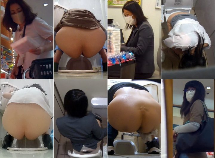 HD Japanese Toilet Style.249