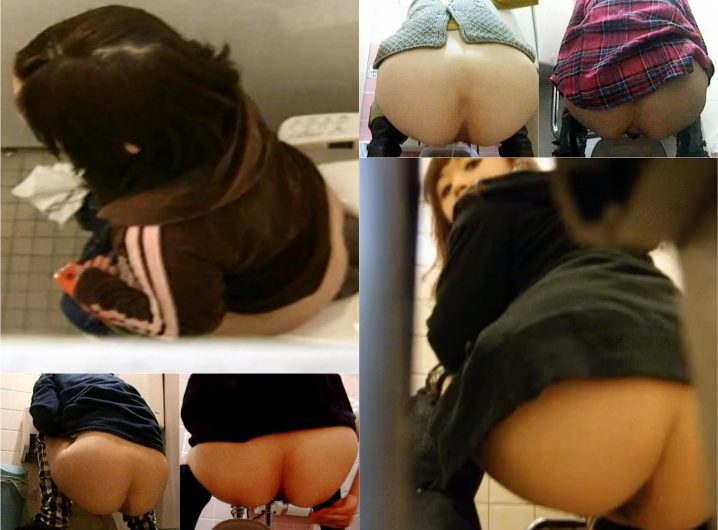 japanese toilet style No.100