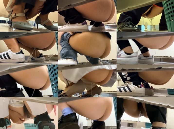 Partition_Public_Women_Toilet