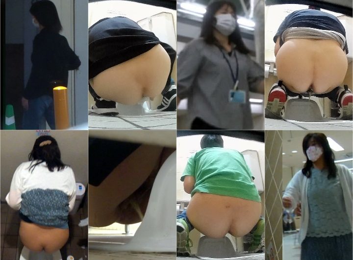HD Japanese Toilet Style.270-269