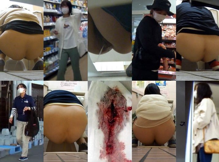 HD Japanese Toilet Style.231