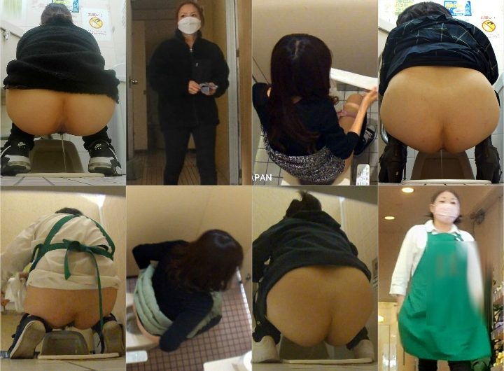 HD Japanese Toilet Style.290