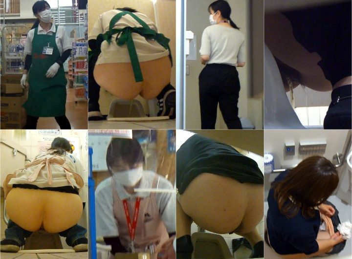 HD Japanese Toilet Style.288