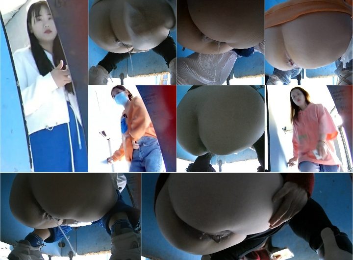 Shopping_Mall_Toilet_1