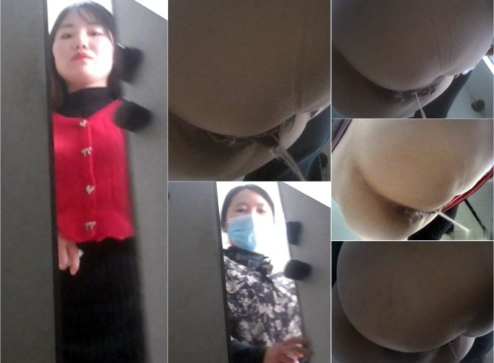 Shopping Center Toilet 5