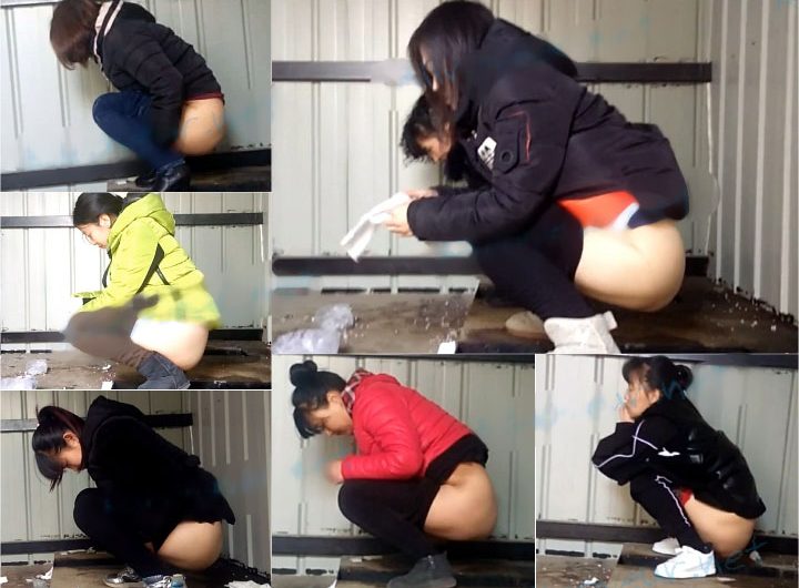 Simple dry toilet 11