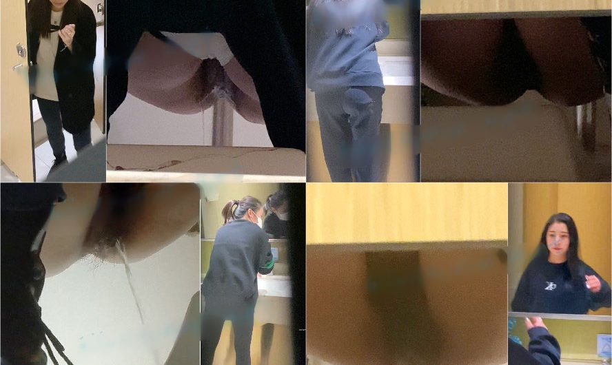 Chinese toliet spycam sifangktv 756-758