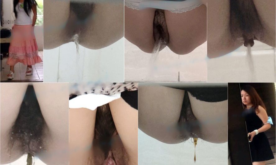 Chinese toliet spycam sifangktv 762-764