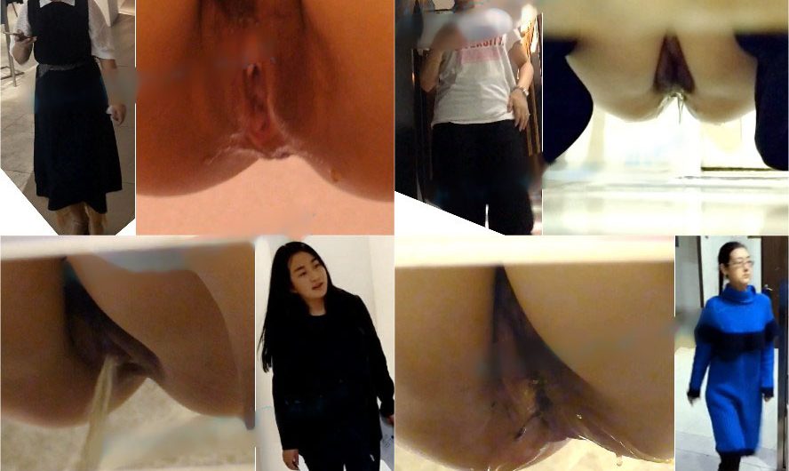 Chinese toliet spycam sifangktv 819-821