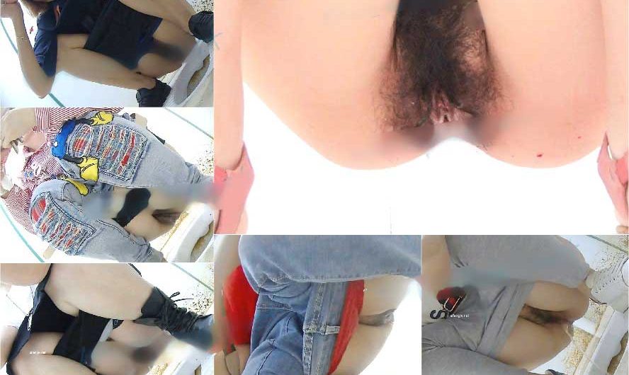 Chinese toliet spycam sifangktv 1017-1019
