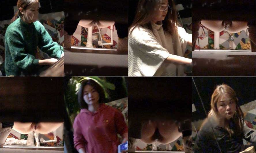 Chinese toliet spycam sifangktv 1084-1086