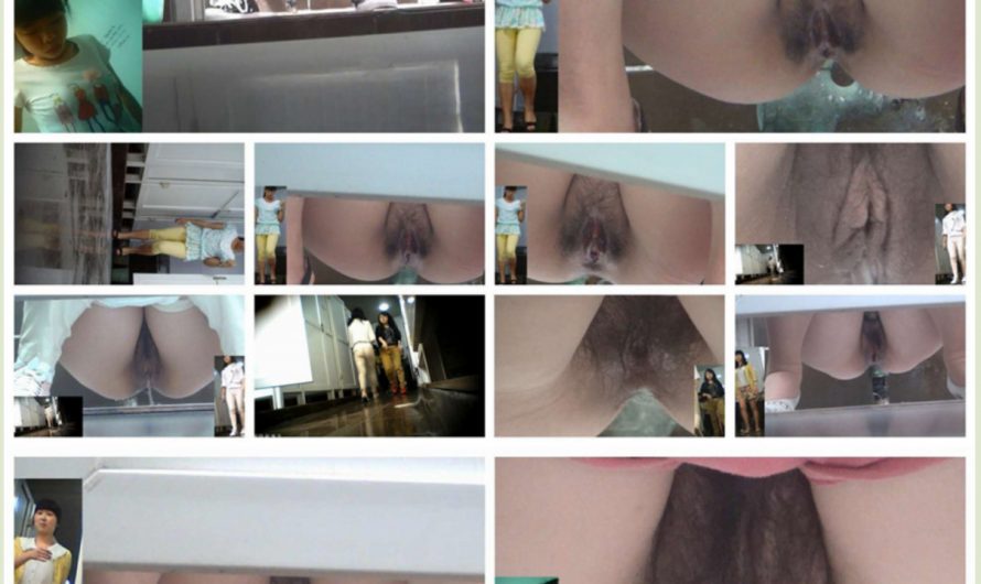 Asian Peeping voyeur videos peeping69 2439